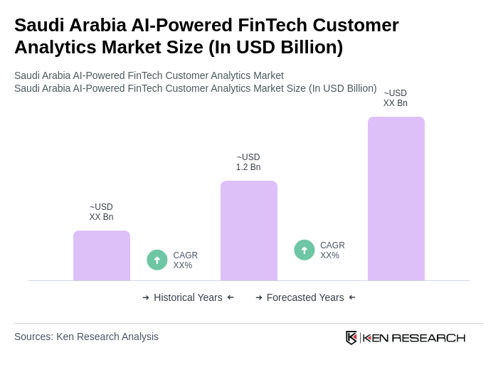 Saudi Arabia AI-Powered FinTech Customer Analytics Market Size Saudi Arabia AI-Powered FinTech Customer Analytics Market Size